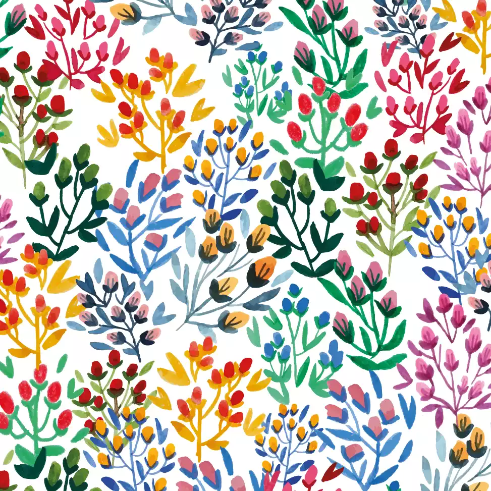 Carole Rampinetta - Rampinetta BaiesAutomne min