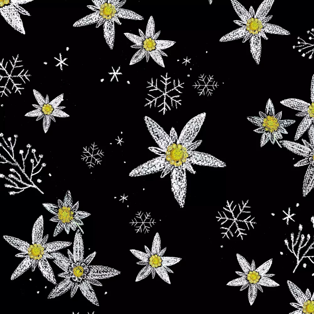 Carole Rampinetta - Rampinetta Edelweiss min scaled