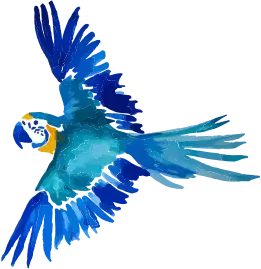 Oiseau perroquet bleu rampinetta 